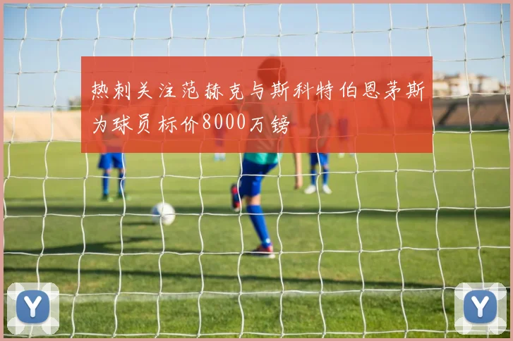 热刺关注范赫克与斯科特伯恩茅斯为球员标价8000万镑