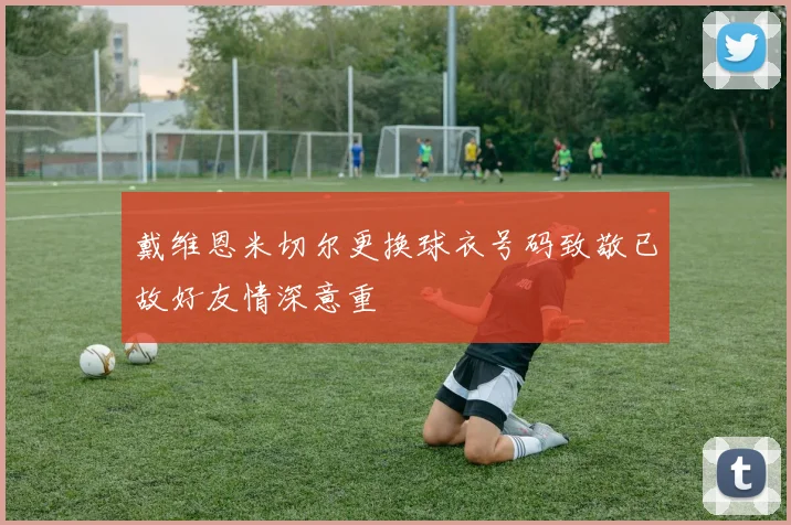 戴维恩米切尔更换球衣号码致敬已故好友情深意重