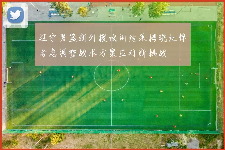 辽宁男篮新外援试训结果揭晓杜锋考虑调整战术方案应对新挑战